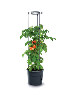 Prosperplast doniczka do uprawy pomidorów Tomato Grower IPOM400-S433