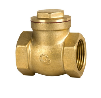 Diamond zawór zwrotny 1" klapowy ART.10-25