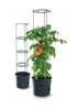 Prosperplast doniczka do uprawy pomidorów Tomato Grower IPOM400-S433