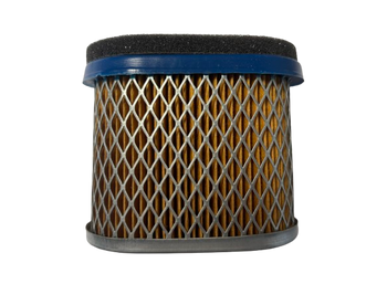 Filtr powietrza silnika Briggs&Stratton 02-0041