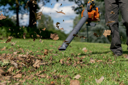 Oleo-Mac dmuchawa BV 250 z zestawem do odkurzania 56609001E5Z